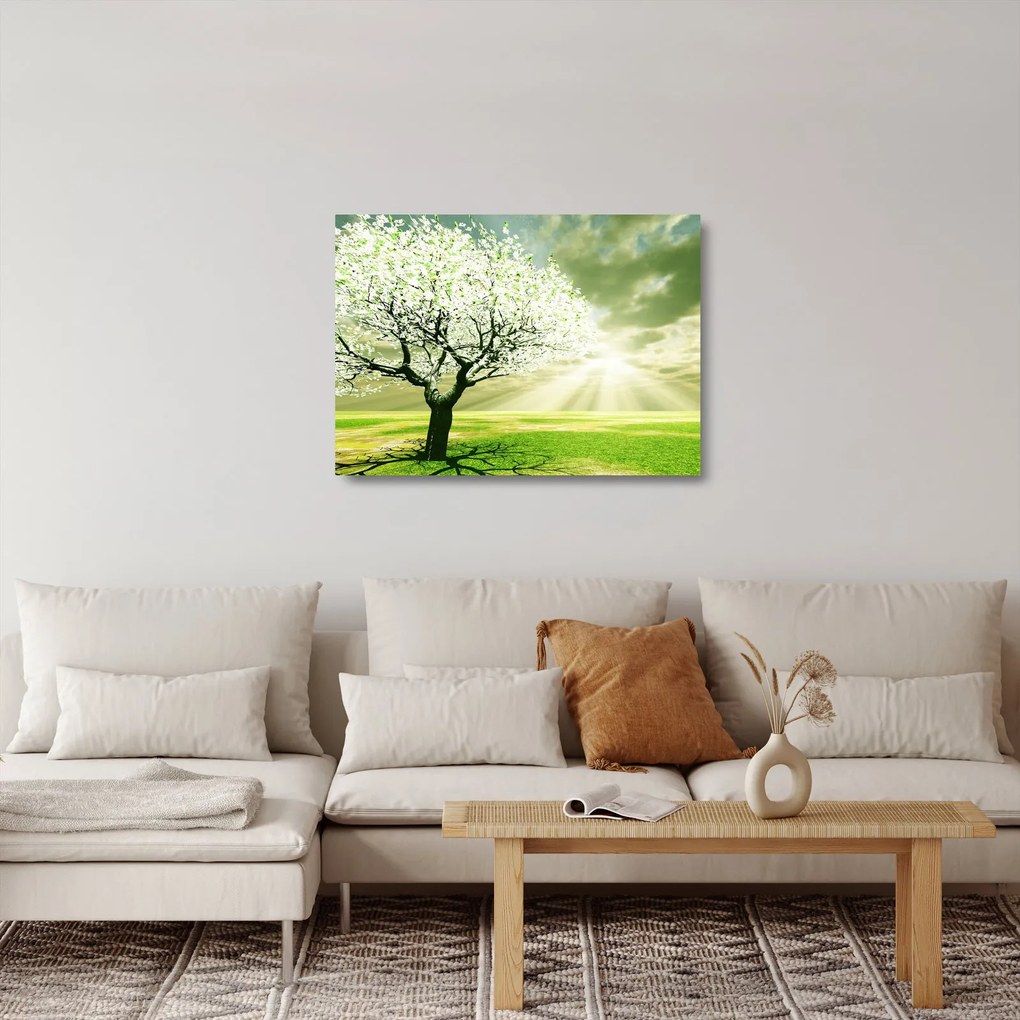 Sklenený obraz stromu na lúke (70x50 cm)