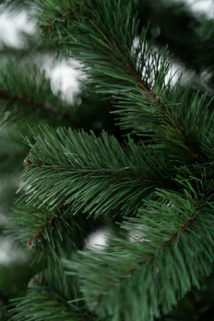 Limpol Jedľa Super Lux 2,20 m