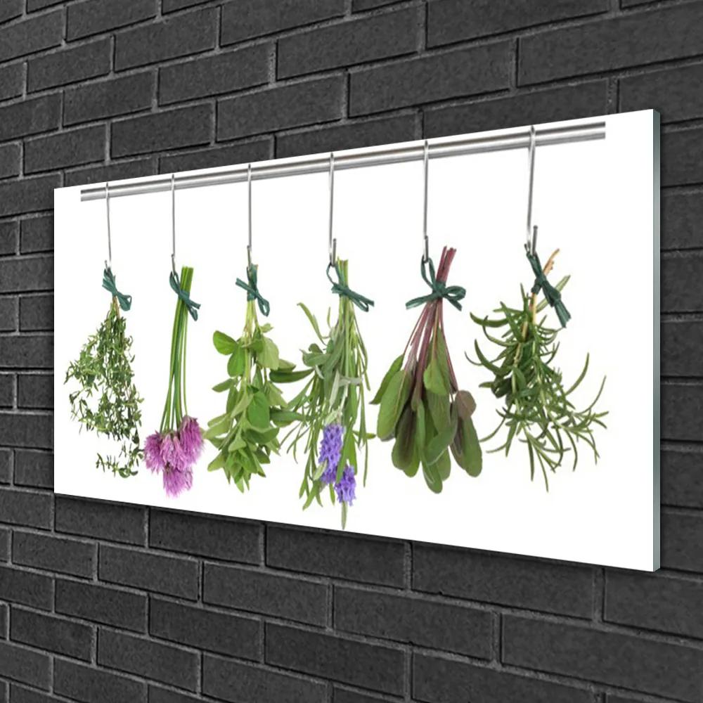 Skleneny obraz Plátky rastlina kuchyňa 100x50 cm