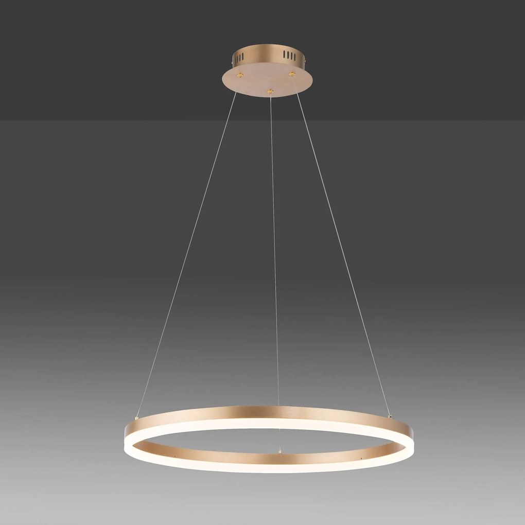 LED závesné svietidlo Titus Ø 60 cm mosadzná matná