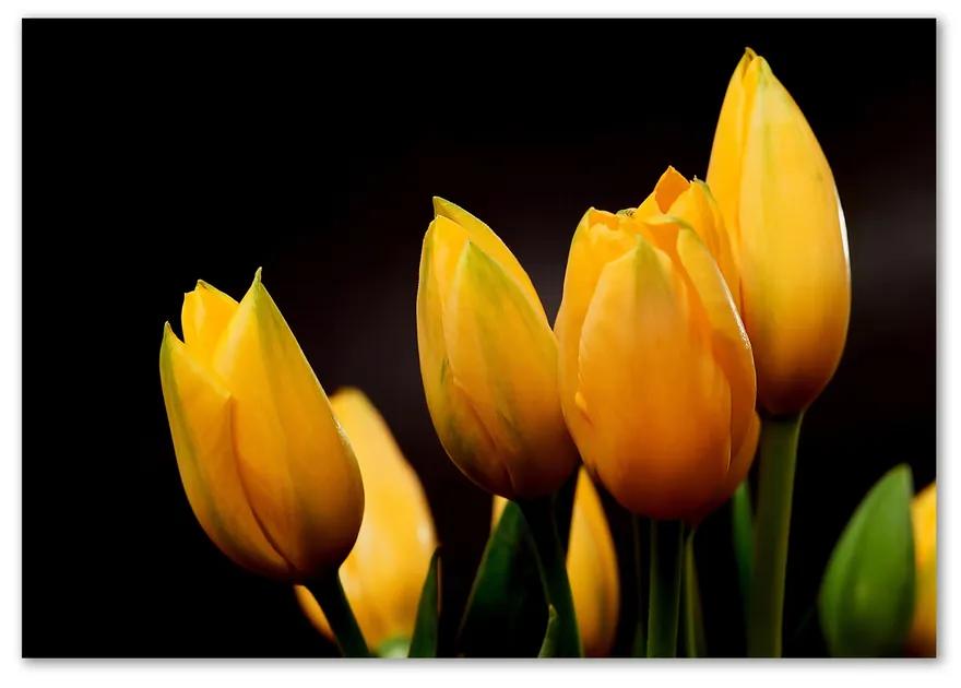 Foto obraz sklo tvrdené Žlté tulipány pl-osh-100x70-f-64836622