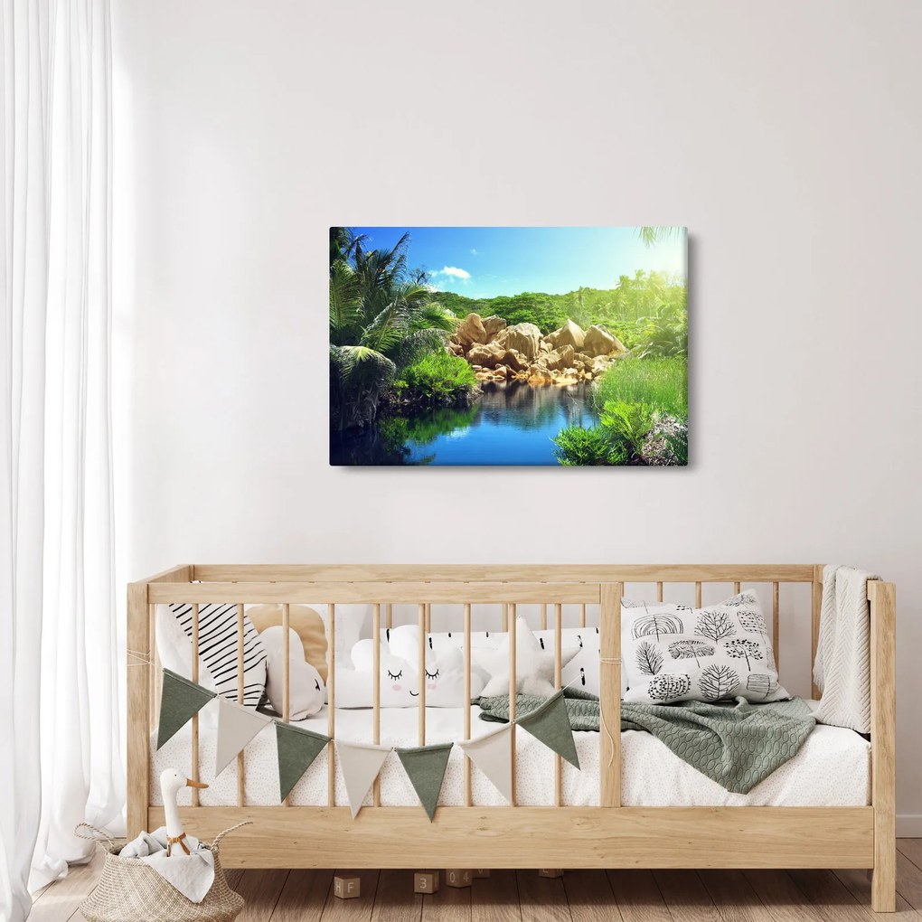 Obraz jazera v Seychelskej džungli (90x60 cm)