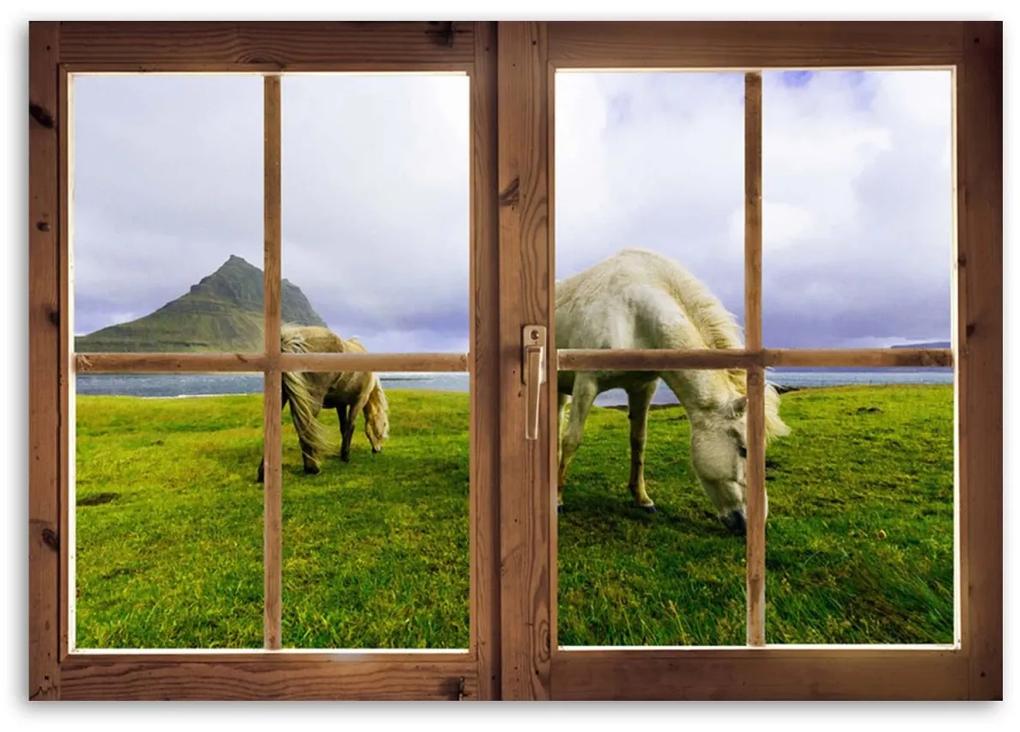 Obraz na plátně Výhled  z okna na koňskou louku - 100x70 cm