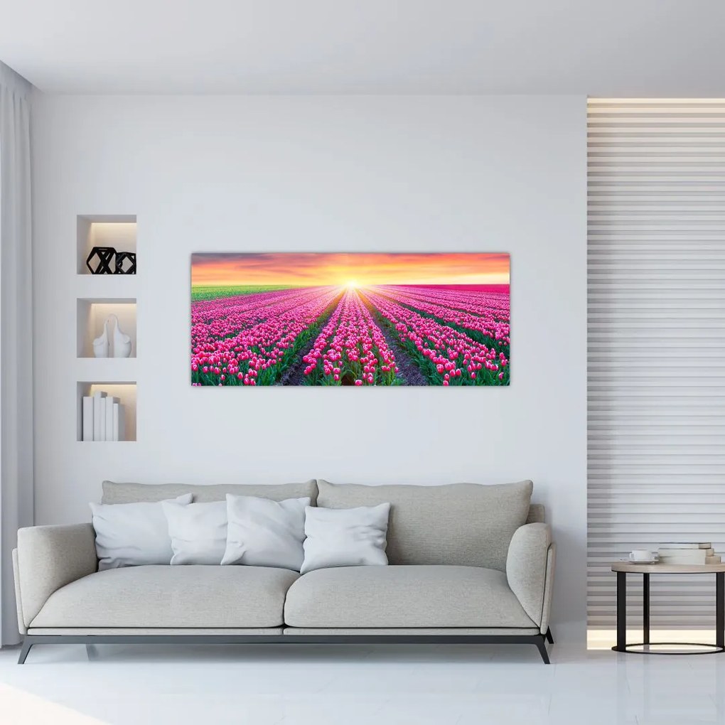 Obraz poľa tulipánov so slnkom (120x50 cm)