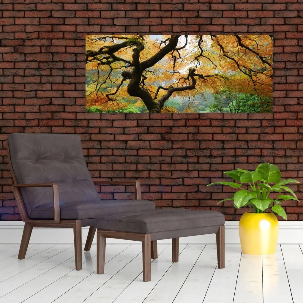 Obraz žltého japonského javora, Portland, Oregon (120x50 cm)