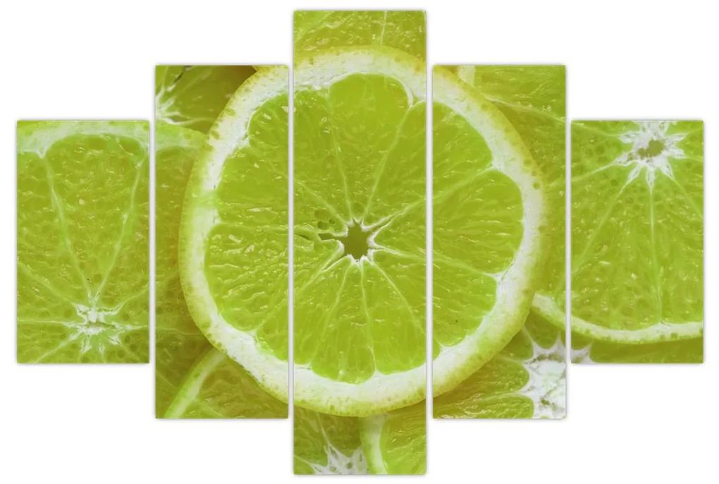 Obraz - citróny na reze (150x105 cm)