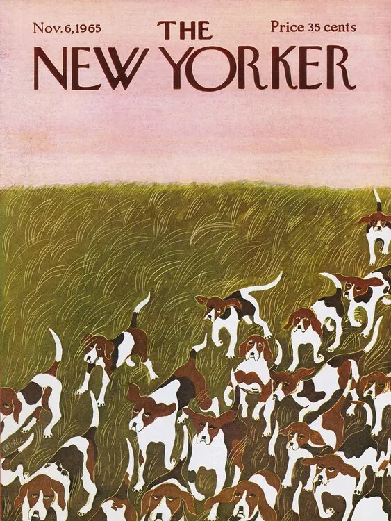 Ilustrácia The NY Magazine Cover 556