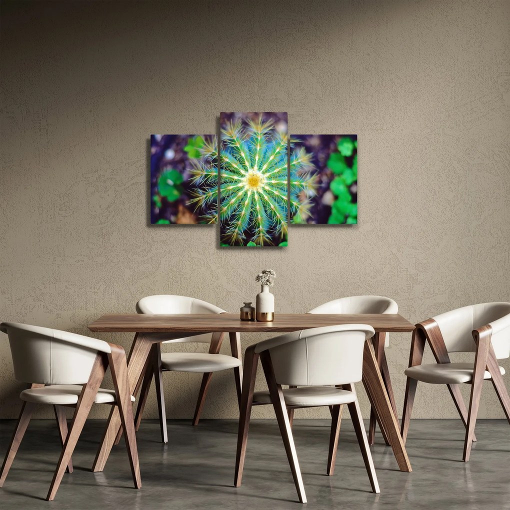 Obraz kaktusu (90x60 cm)
