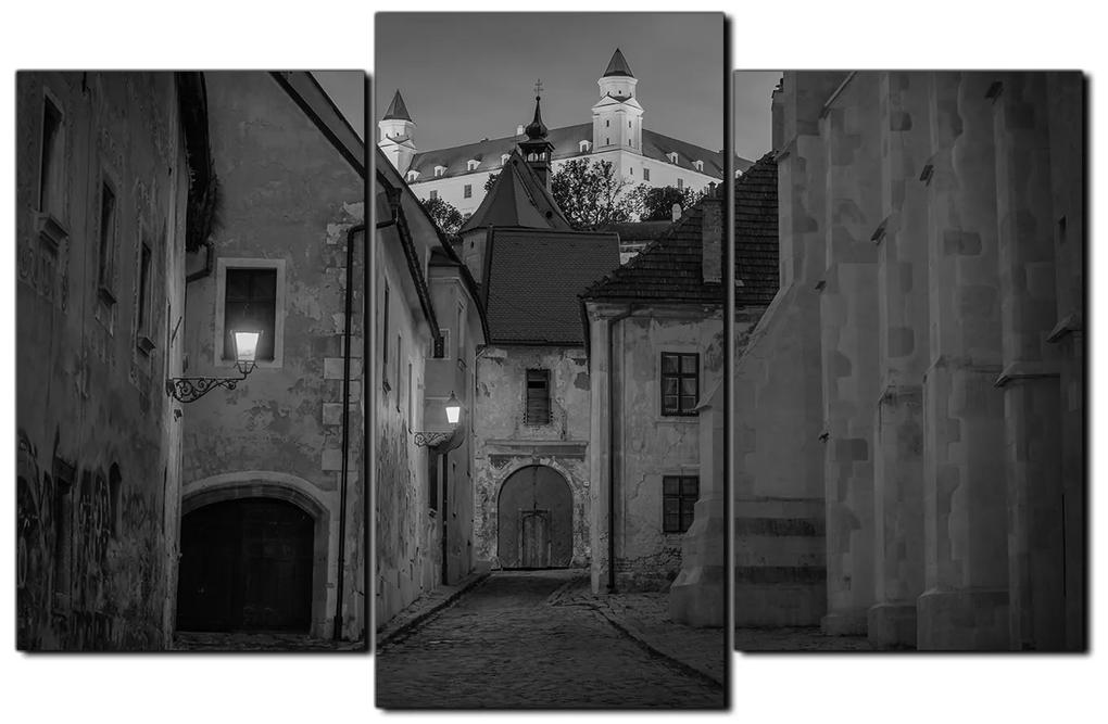 Obraz na plátne - Bratislava staré mesto s hradom vzadu 1265QC (135x90 cm)