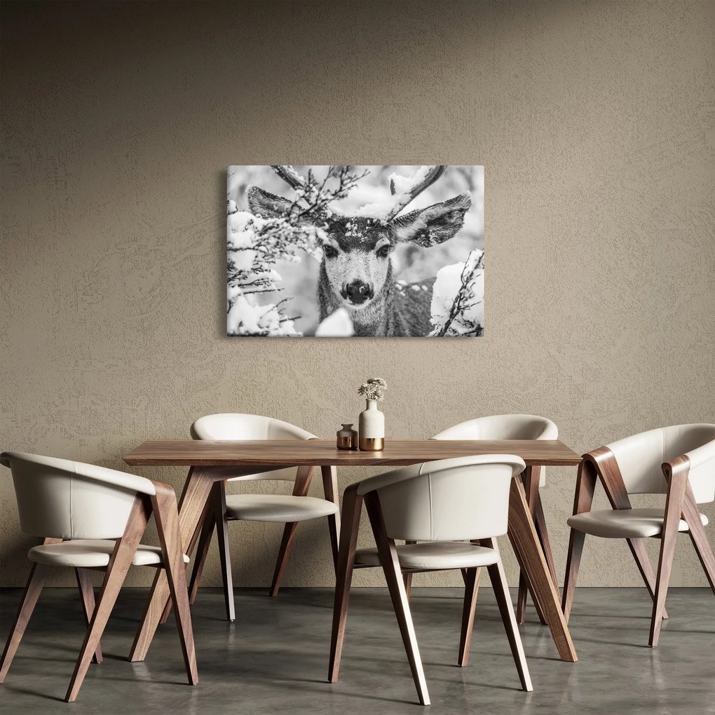 Obraz - Jeleň v zime (90x60 cm)