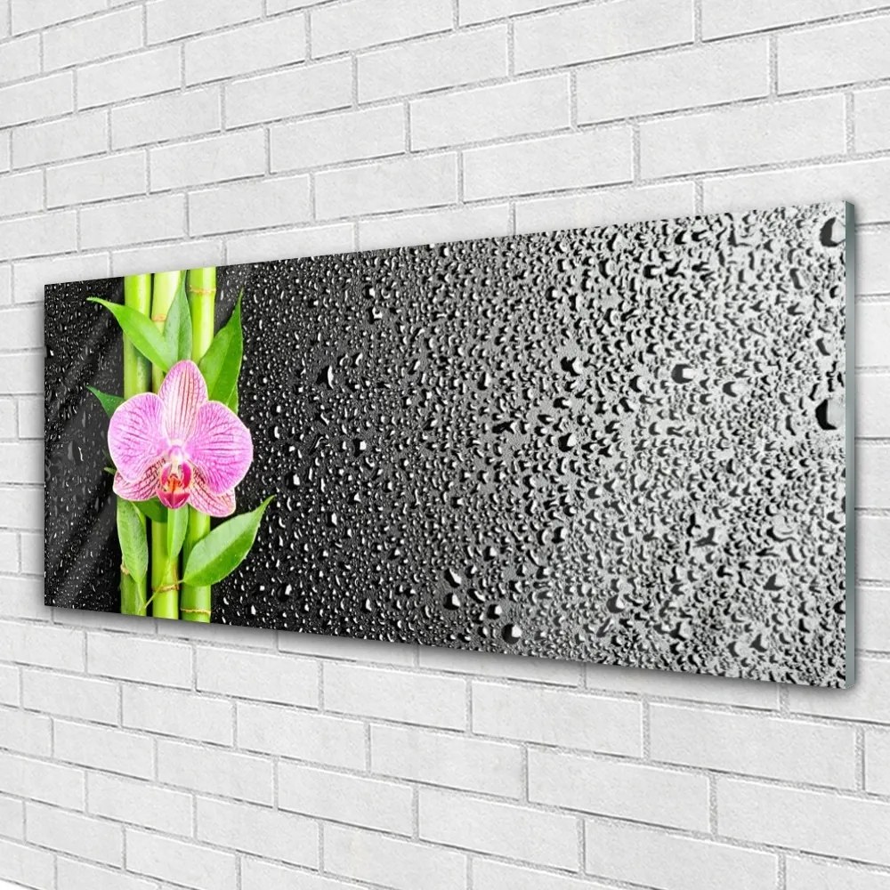 Obraz na akrylátovom skle Bambus stonky kvet rastlina 125x50 cm