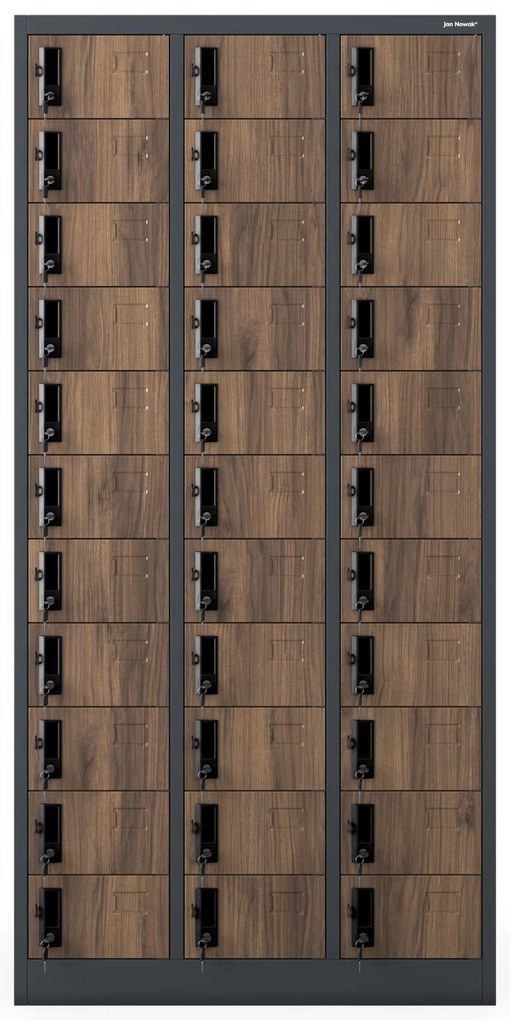 Skrinka na úschovu s 33 priehradkami, antracitová/orechová, 900x1850x450 mm: OLIVER Eco Design