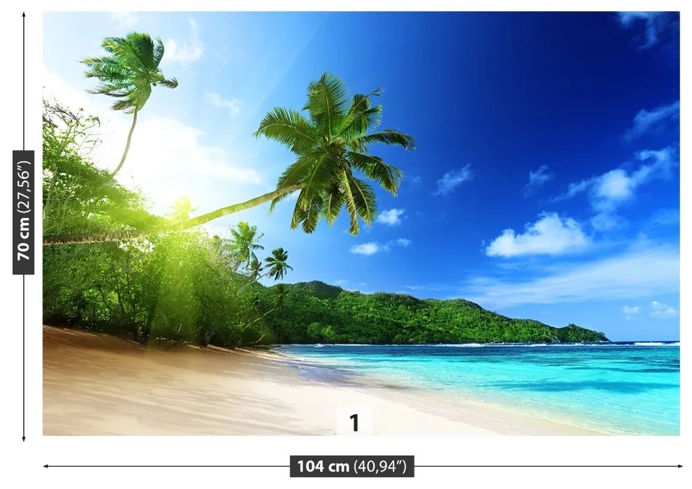Fototapeta Vliesová Pláž na seychelách 208x146 cm