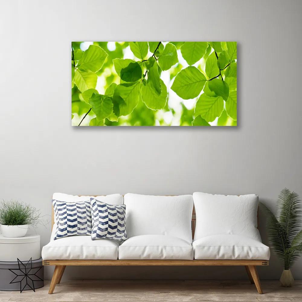 Obraz na plátne Listy príroda rastlina 120x60 cm