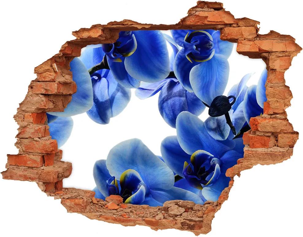 Fototapeta nálepka na stenu Modrá orchidea WallHole-cegla-90x70-108719239