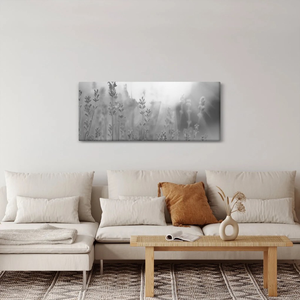 Obraz - Levanduľa (120x50 cm)