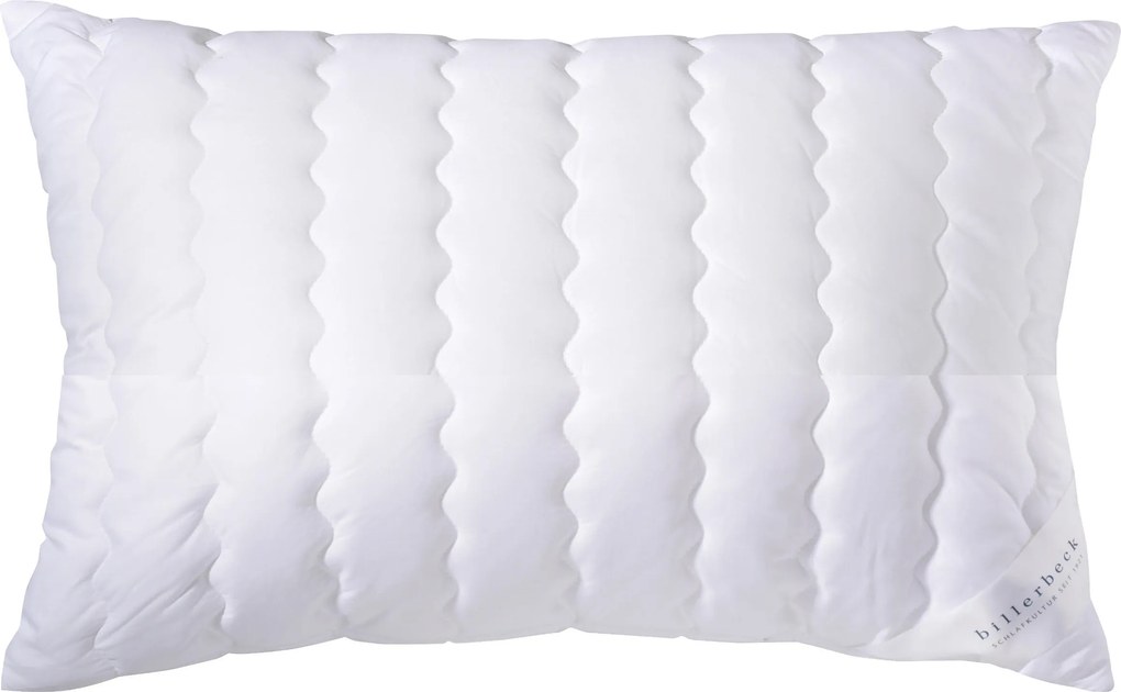 XXXLutz VANKÚŠ POD HLAVU, 40/80 cm Billerbeck - Prikrývky & vankúše - 003279053502