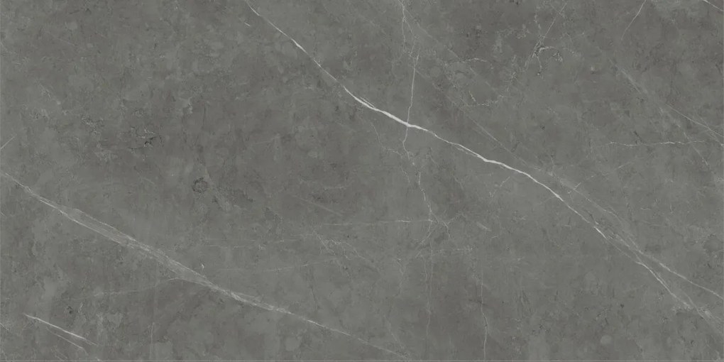 Dlažba Tessino Grey Natural 60x120 R