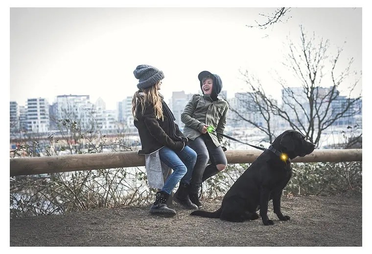 LED svetlo na obojok Green – Orbiloc