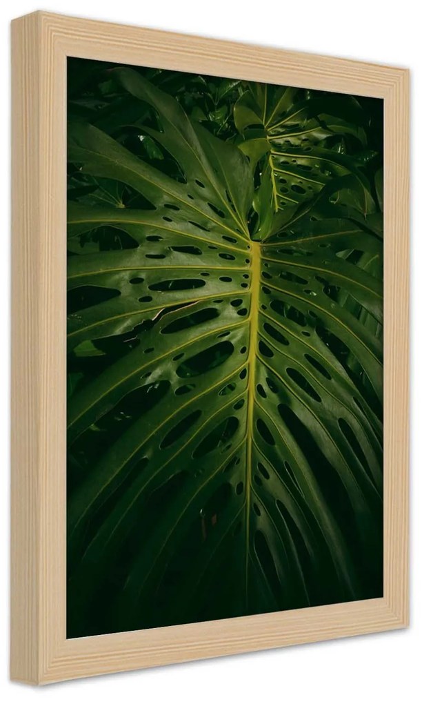 Gario Plagát Monstera - list z prírody Farba rámu: Biela, Rozmery: 30 x 45 cm