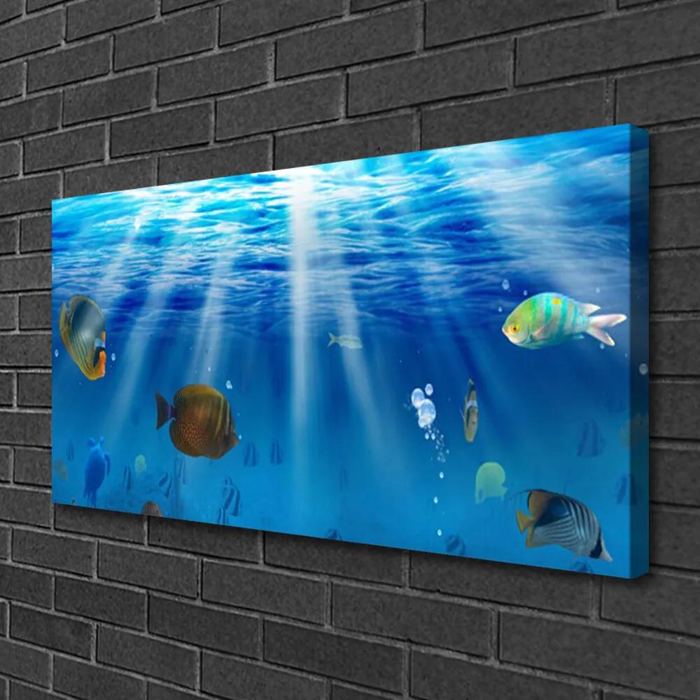 Obraz na plátne Ryba príroda 120x60 cm