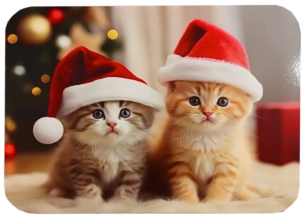 Prestieranie VIANOCE mačiatko