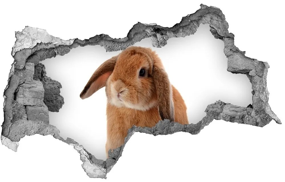 Diera 3D fototapeta nálepka Rudy králik nd-b-65984756