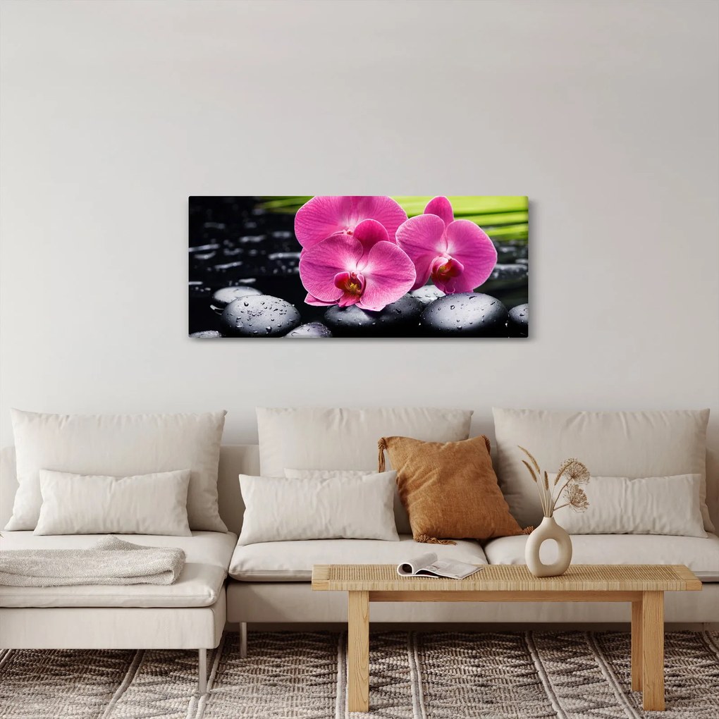 Obraz - Ružové orchidey s palmovým listom (120x50 cm)