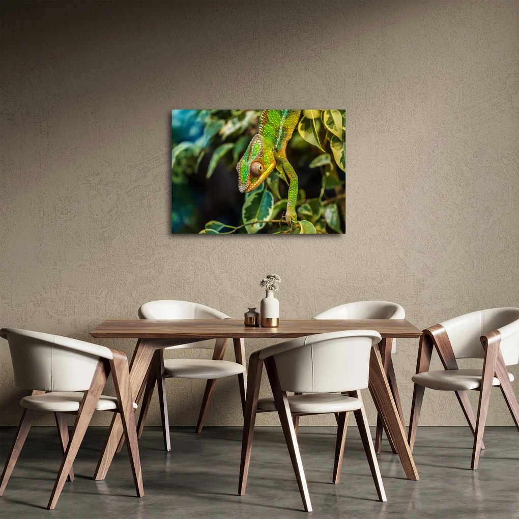 Obraz chameleóna (70x50 cm)
