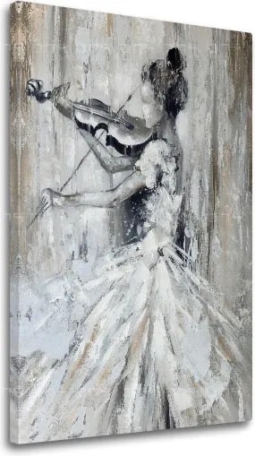 Obraz na plátne HUSLISTKA 1 dielny XOBCH1528HE1