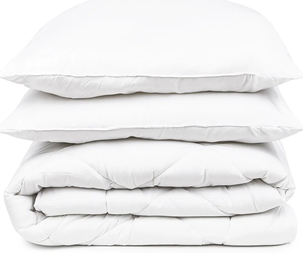 4Home Set prikrývky a vankúša Aloe Vera, 200 x 220 cm, 2 ks 70 x 90 cm, 200 x 220 cm, 2 ks 70 x 90 cm