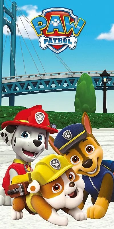 Detská osuška Paw Patrol Group, 70x140 cm