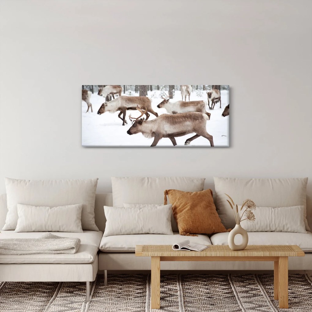 Obraz - Soby (120x50 cm)