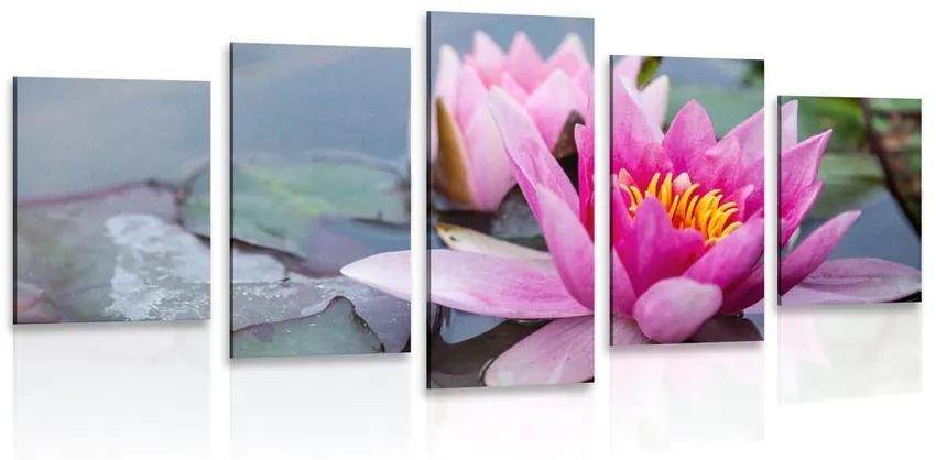 5-dielny obraz ružový lotosový kvet Varianta: 100x50