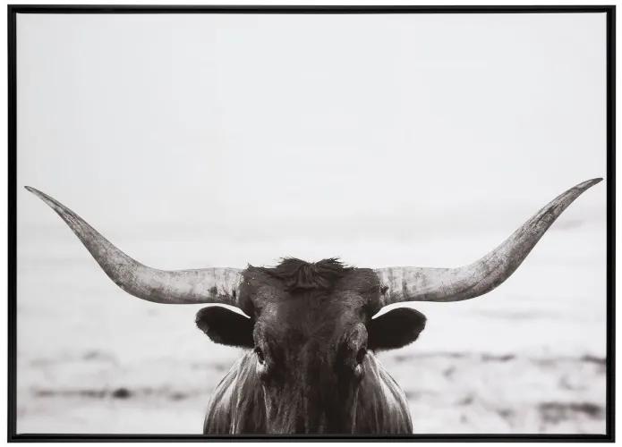 Obraz čierno-biela fotografie Bull - 104 * 144 * 4,3 cm