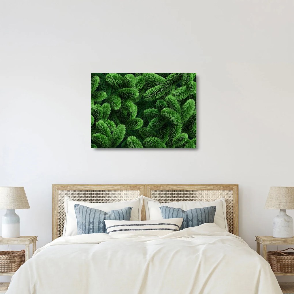 Sklenený obraz - Vetvičky ihličnanu (70x50 cm)