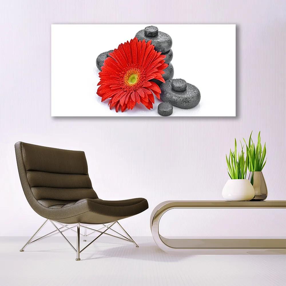 Obraz plexi Kvety gerbery kamene zen 120x60 cm