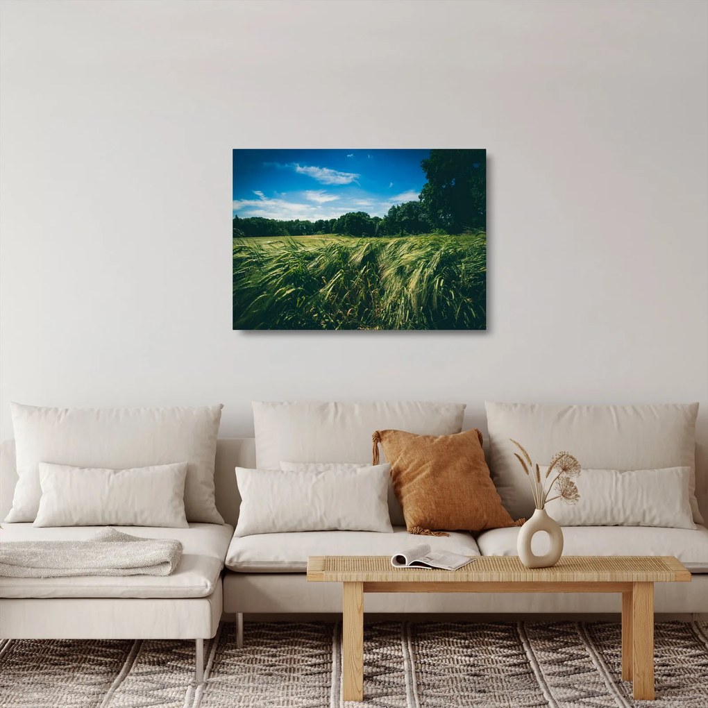 Sklenený obraz lúky a lesa (70x50 cm)