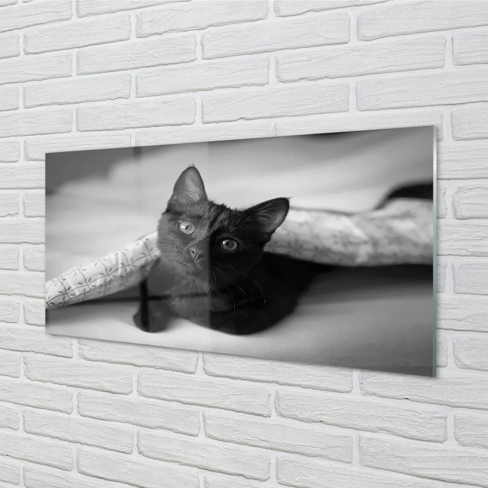 Sklenený obraz Mačka pod prikrývkou 100x50 cm