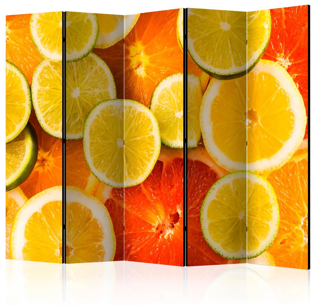 Artgeist Paraván - Citrus fruits [Room Dividers]