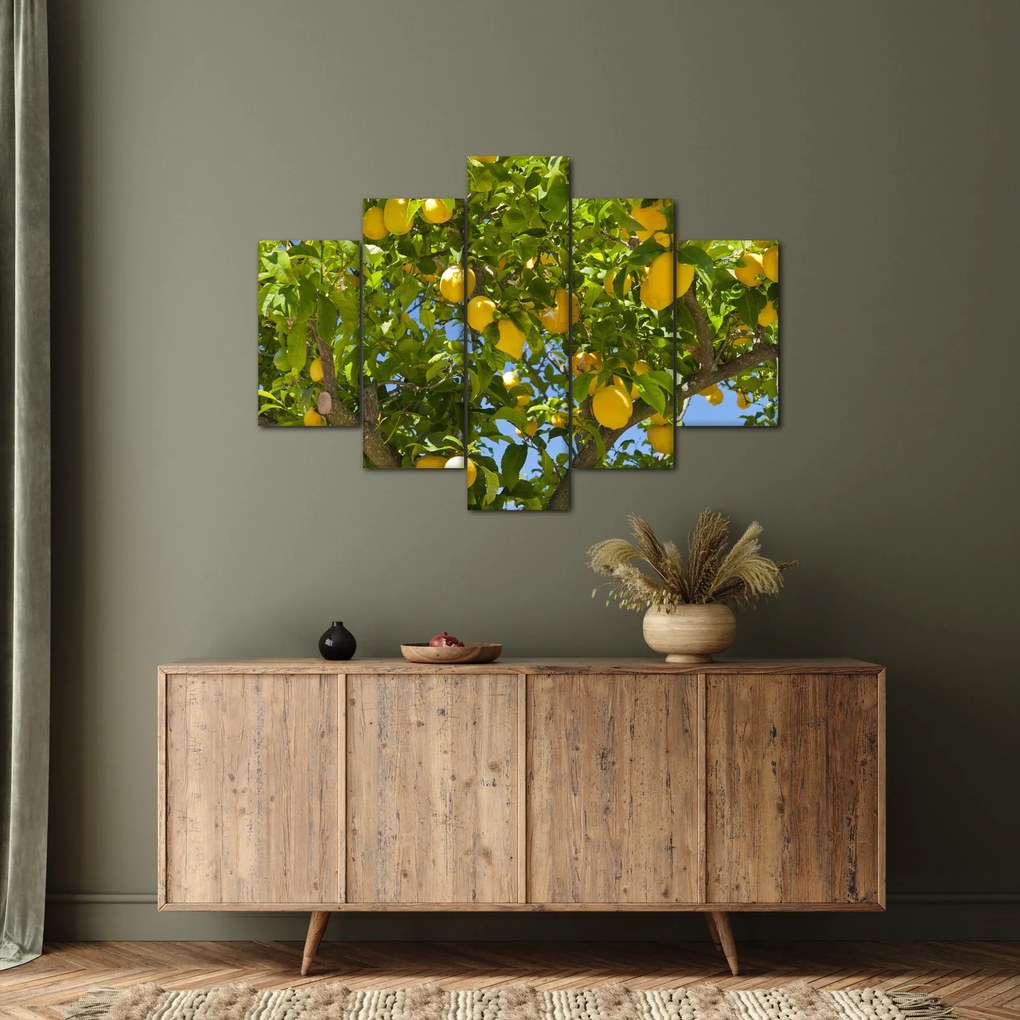 Obraz - Citrónovník (150x105 cm)