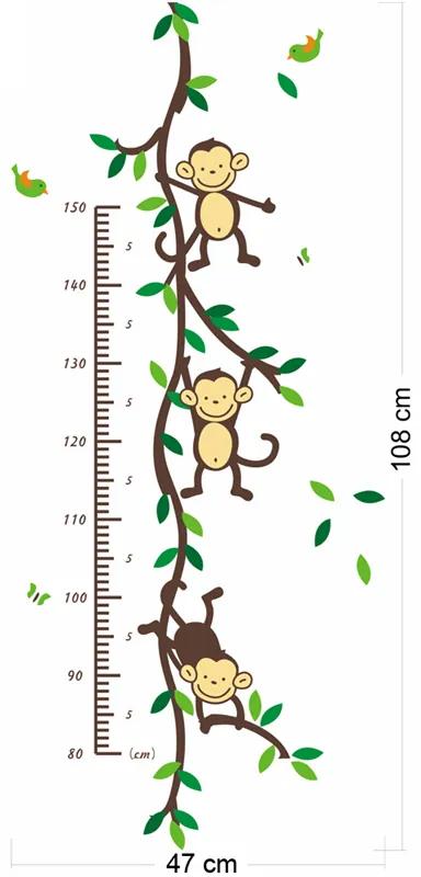 Samolepka na stenu "Detský meter - Opičky" 50x110 cm