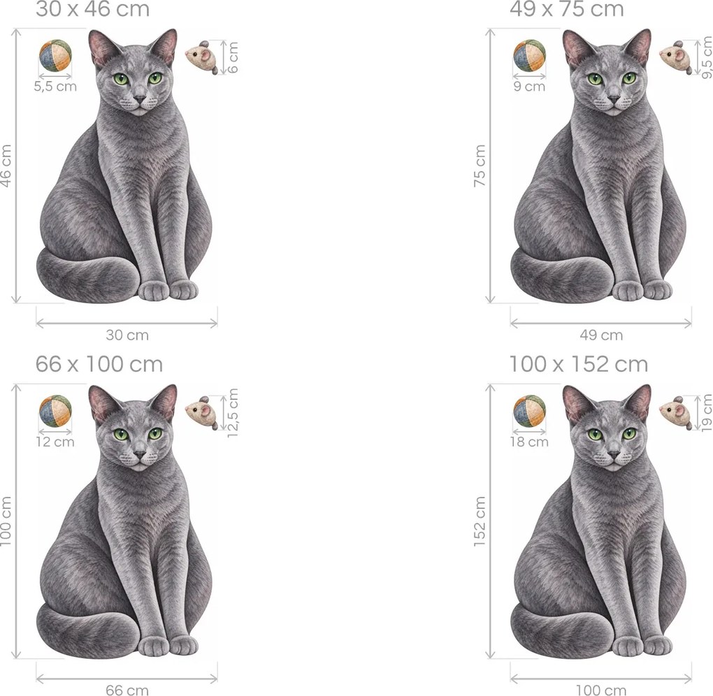 Ruská modrá mačka realistické mačacie nálepky na stenu arch 30 x 46 cm