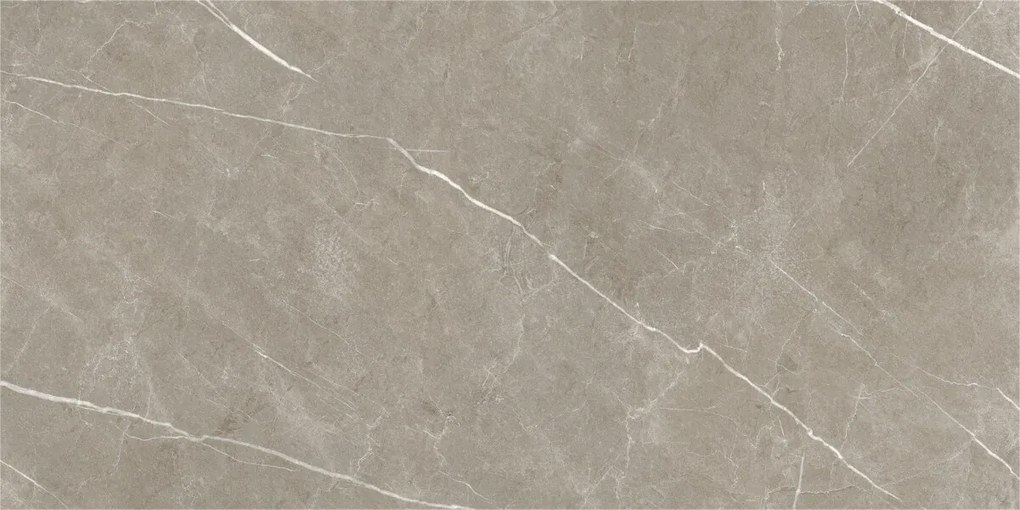 Dlažba Eternal Taupe Natural 60x120 R