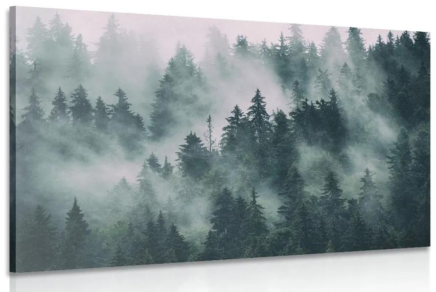Obraz hory v hmle Varianta: 60x40