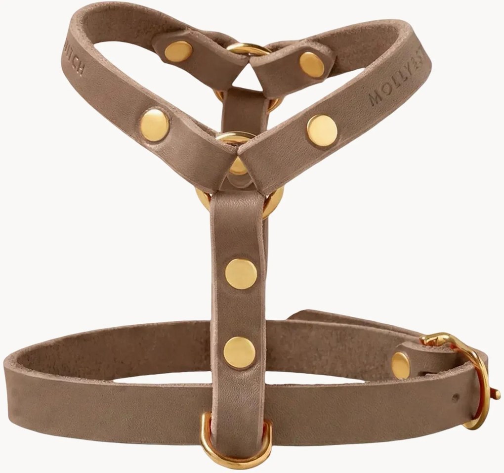 Kožený postroj pre psa Y-Harness, rôzne veľkosti
