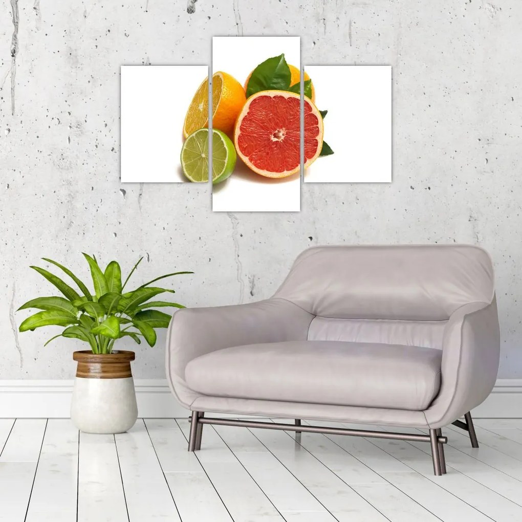 Citrusové plody - obraz