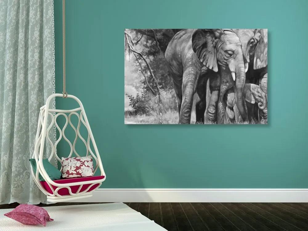 Obraz slonia rodinka v čiernobielom prevedení Varianta: 120x80