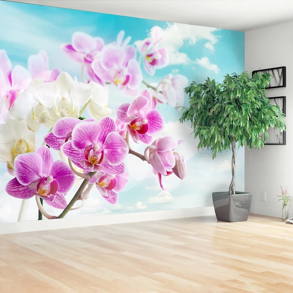 Fototapeta orchidey Modrá