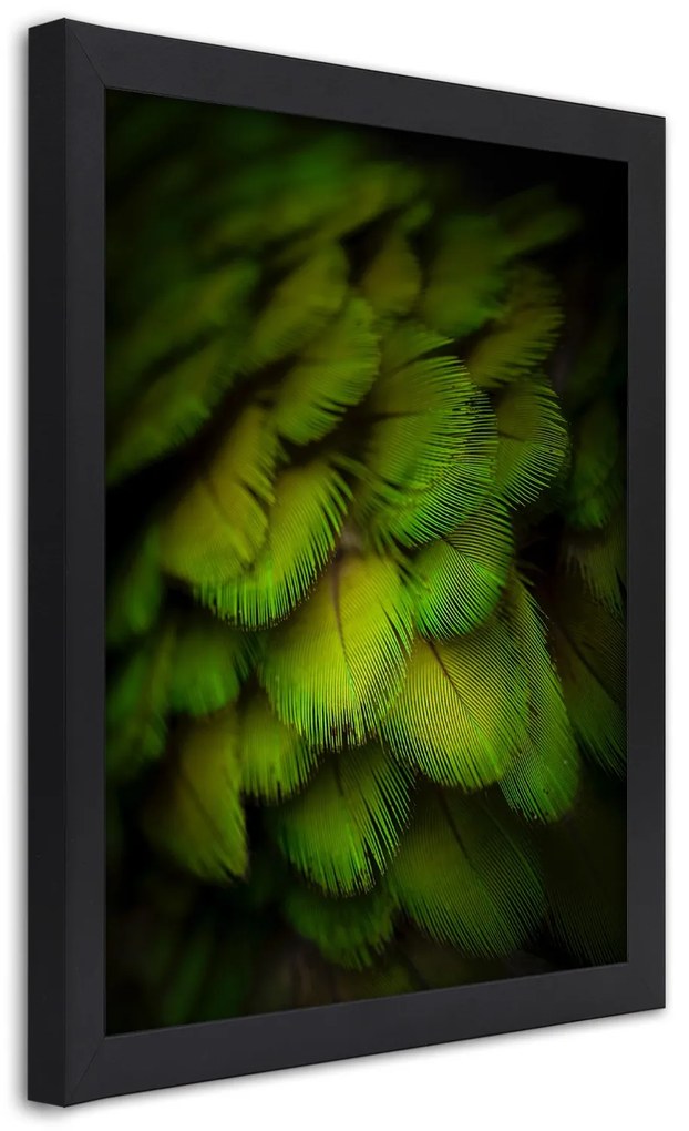 Gario Plagát Abstrakt zo zeleného peria Farba rámu: Čierna, Rozmery: 70 x 100 cm